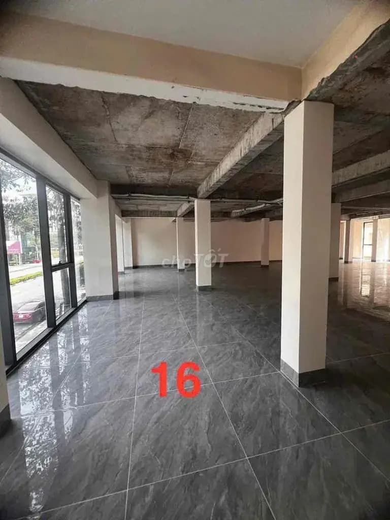 Main-Cho thuê nhà mặt tiền đường Lý Thái Tổ, Thành phố Mới, Bình Dương - P-5