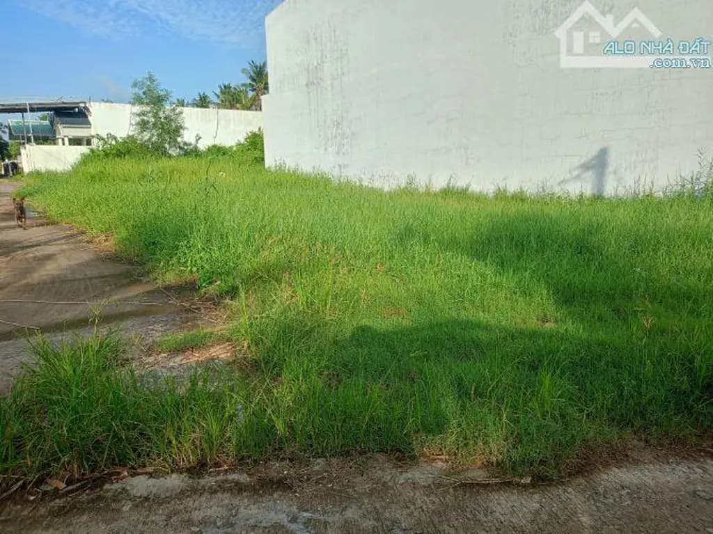 Main-Bán Đất 215m2 có sẵn 215 m2 thổ cư giá 4.9 tỷ tại hẻm ô tô Đường Châu Thị Kim An Vĩnh Ngãi TP Tân An-1