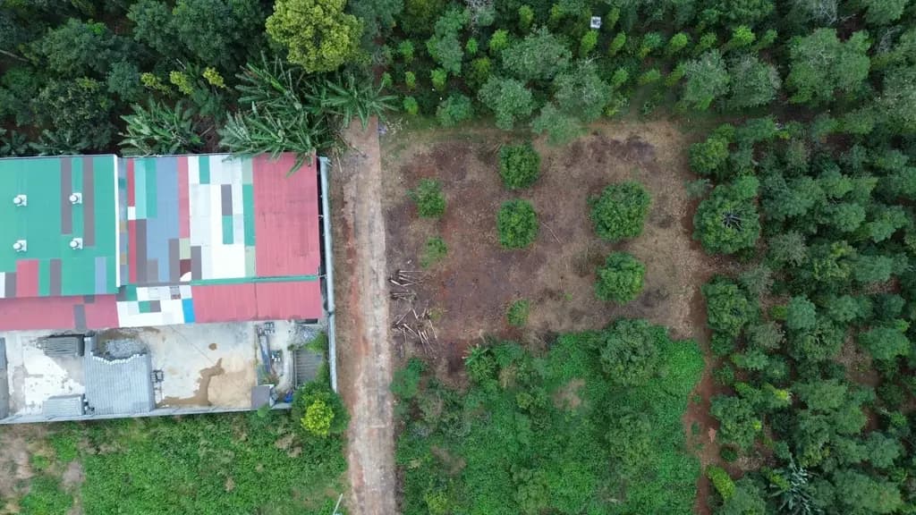 Main-Bán đất thôn 3 Cư Suê 150.9m² có sẵn 145m² thổ cư ngang 5m giá 595triệu tại Xã Quảng Phú-1