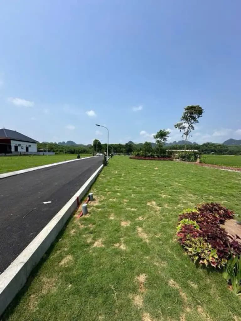 Main-ĐẤT ĐẸP 100M2 THỊ TRẤN BA HÀNG ĐỒI - 5XX (x Tiểu Học) - SỞ HỮU 2 MẶT TIỀN-2