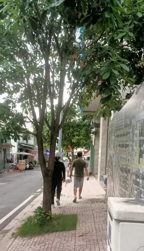 Main-The Sholi, nhà phố 356m2 sử dụng,MT AN DƯƠNG VƯƠNG, PHƯỜNG AN LẠC, TPHCM-3