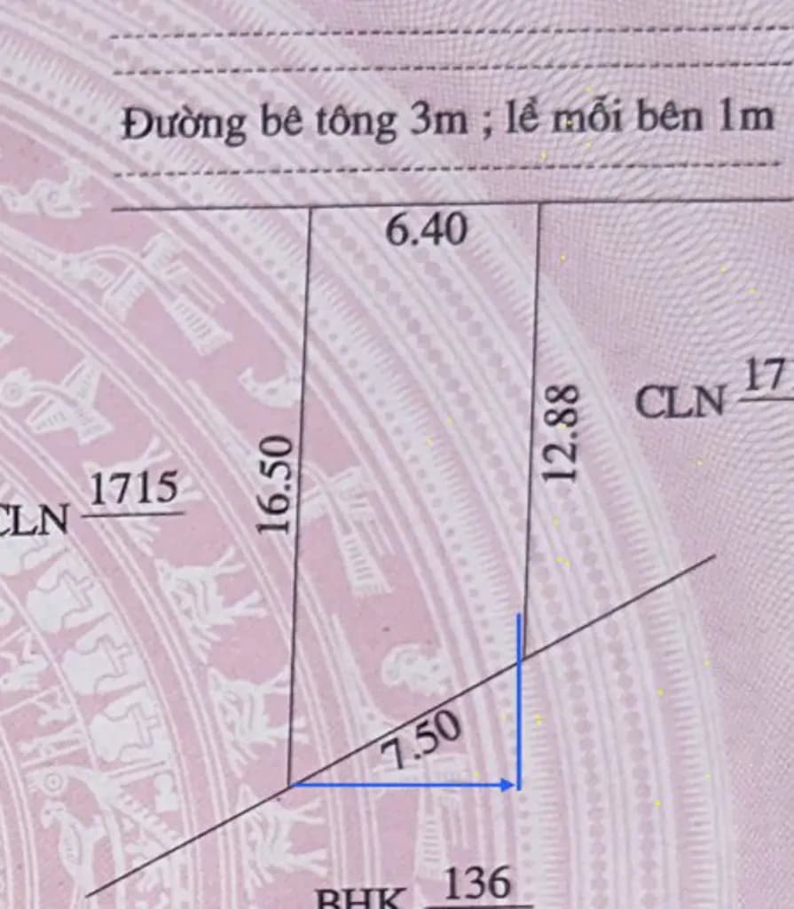 Main-550 triệu - đất trung tâm phường Đại Lộc - TP Đà Nẵng-2