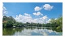 Thumb-Bán Đất 152.9m2 có sẵn 119.7 m2 thổ cư giá 6.7 tỷ tại Đường Song Hành Xa lộ Hà Nội - Nhánh Quận 9 Phường Long Bình Quận 9 TP. Hồ Chí Minh-6