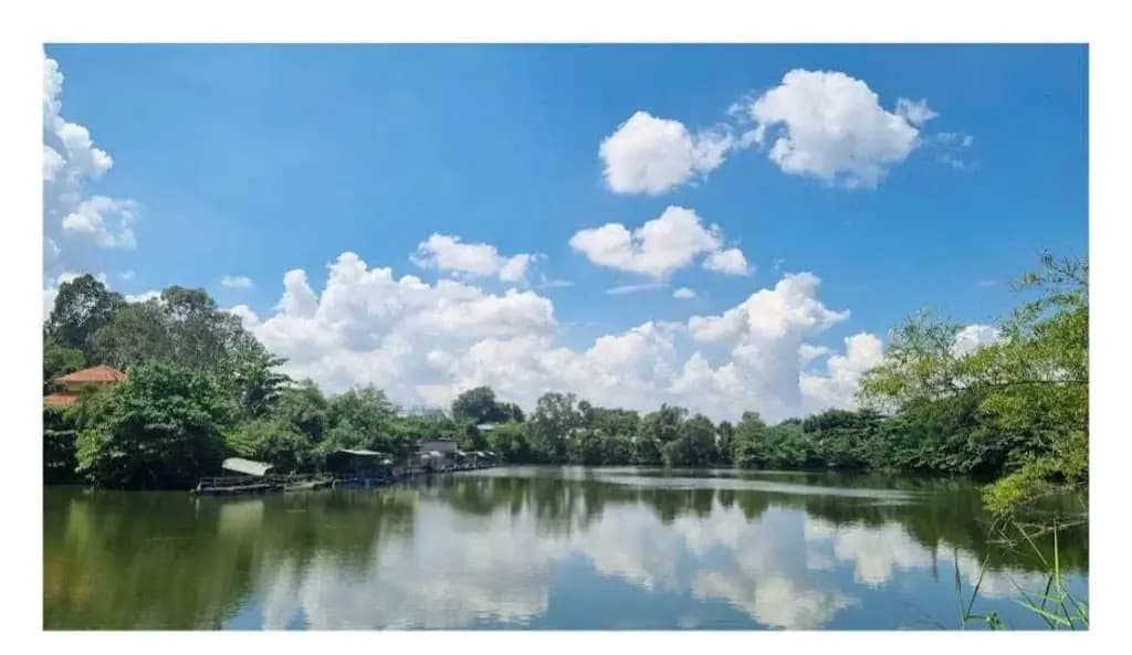 Main-Bán Đất 152.9m2 có sẵn 119.7 m2 thổ cư giá 6.7 tỷ tại Đường Song Hành Xa lộ Hà Nội - Nhánh Quận 9 Phường Long Bình Quận 9 TP. Hồ Chí Minh-5