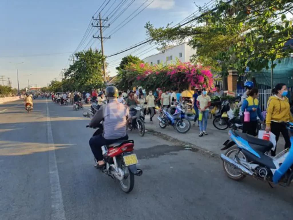 Main-Bán 99.1m2 tại thửa đất số 2232, tờ bản đố số 13, P. An Bình, TP. Dĩ An-5