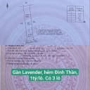 Thumb-Bán Đất 117m2 có sẵn 81m2 thổ cư giá 1 tỷ tại phường Tân Triều, gần khu Lavender City-1