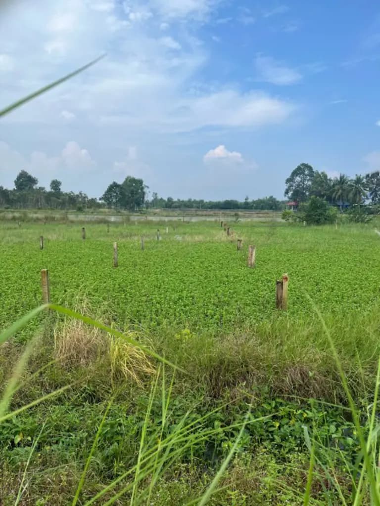 Main-Chính chủ bán 241m² đất ở 100%- sổ riêng- ngang 5m- ô tô tới đất-0