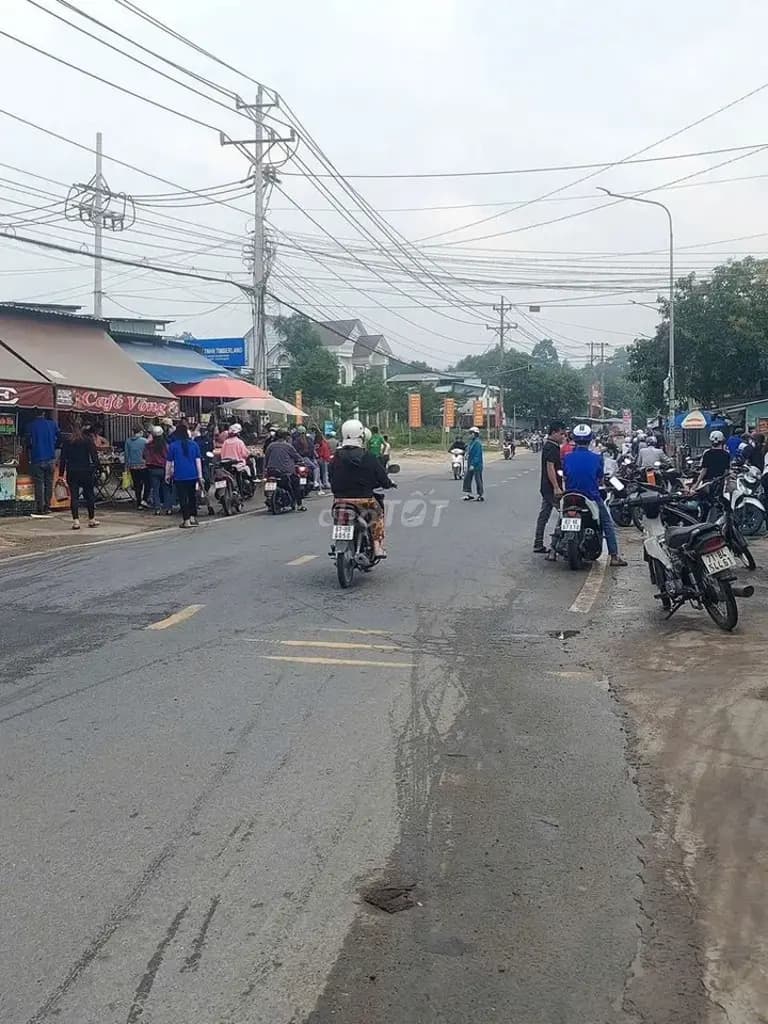 Main-Cho thuê Kho, nhà xưởng 2000m2 giá 120 triệu tại Phường An Phú Thị xã Thuận An Bình Dương-2