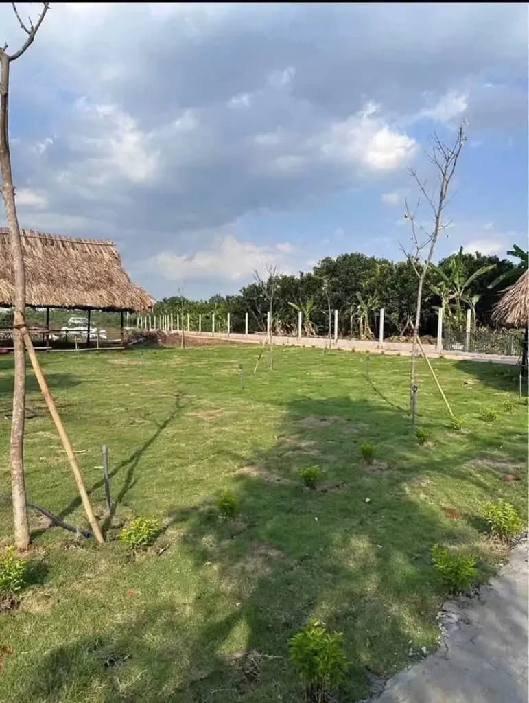 Main-30 lô đất nền ven sông ngay cầu Tân Triều chỉ 1,290 tỷ/nền diện tích 80 - 160m2. có lô Góc 2 mặt tiền💥-6