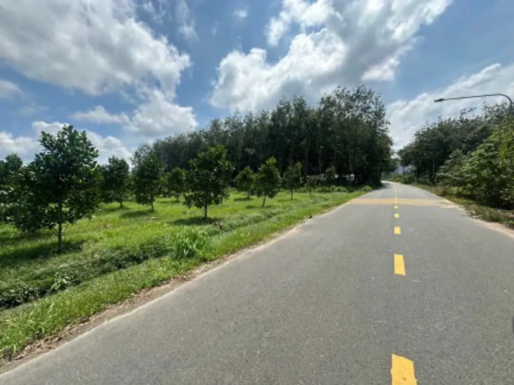 Main-Chủ kẹt tiền bán gấp 1400m2 đất ngay sau chợ chính trường học, giá chỉ 290 triệu-1