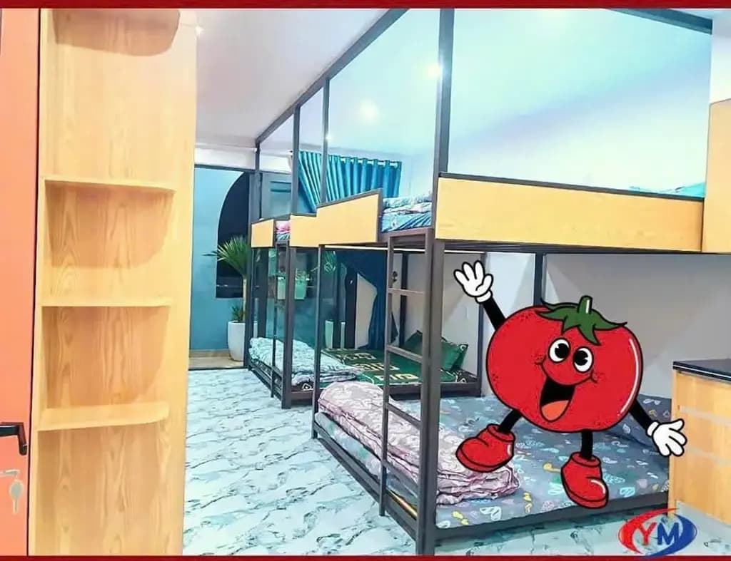 Main-Cho thuê Nhà riêng 50m2 giá 15 triệu tại Đường Đằng Hải Phường Đằng Hải Quận Hải An Hải Phòng-2