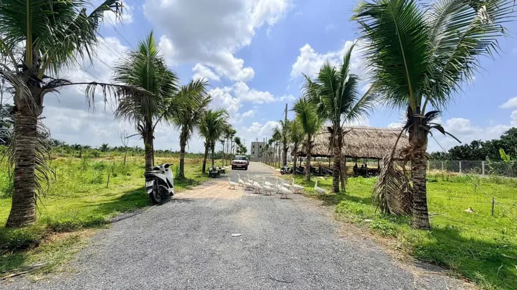 Main-30 lô đất nền ven sông ngay cầu Tân Triều chỉ 1,290 tỷ/nền diện tích 80 - 160m2. có lô Góc 2 mặt tiền💥-1