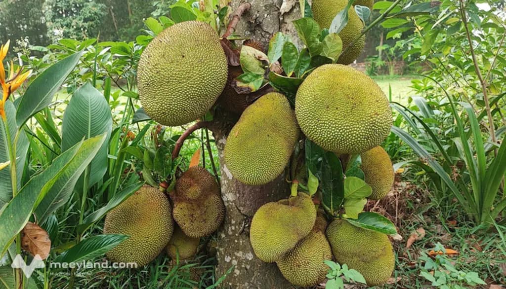 Main-đất nghỉ dưỡng bám hồ xã Đoài Phương - TP Hà Nội, diện tích 4000m2; cách trung tâm Hà Nội 40 phút lái xe-2