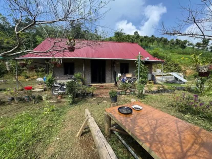 CẦN BÁN GẤP 3.300M² - MƯỜNG BI (PHÚ THỌ) - GẦN ĐƯỜNG NHỰA