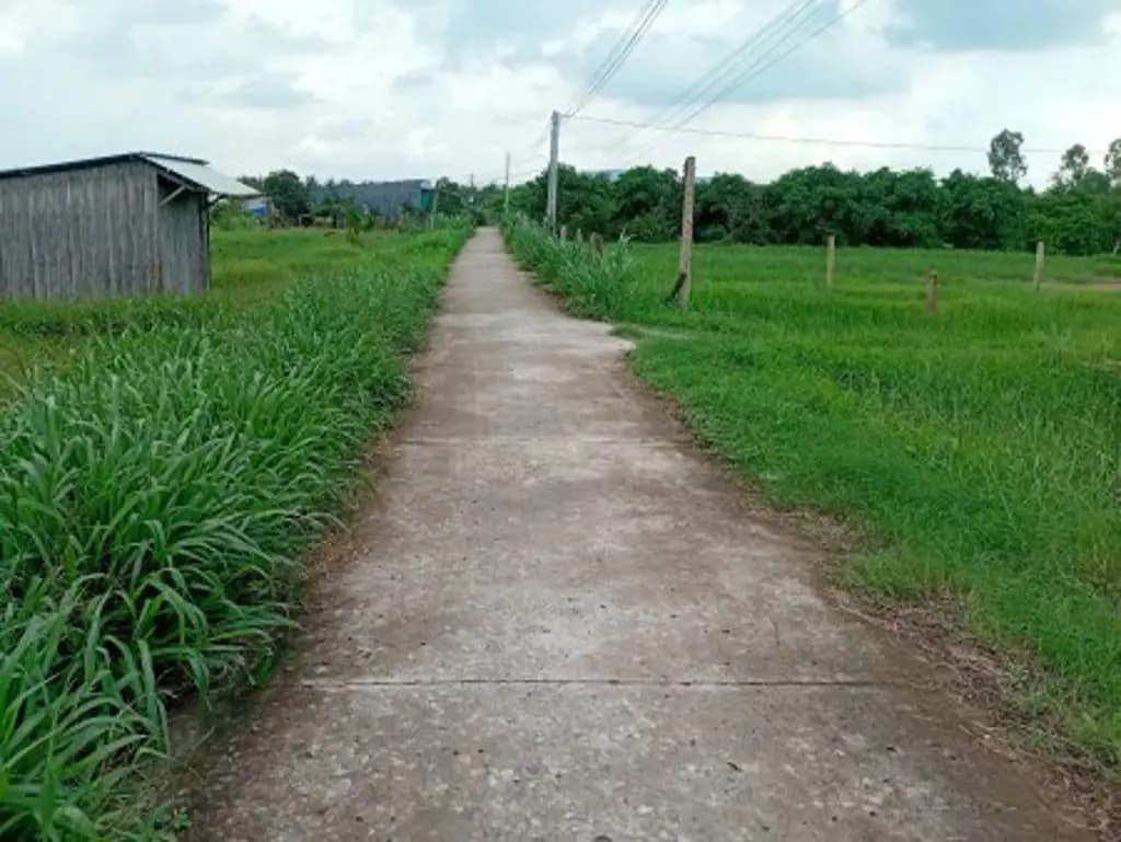 Main-Chính chủ bán đất 563m² có 160m² thổ cư, đường ô tô tại xã Tân Phú, Tân Phú Đông-0