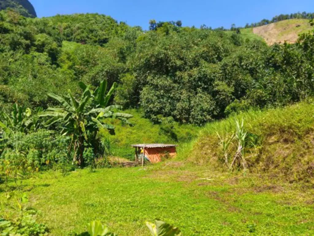 Main-CẦN BÁN GẤP 3.300M² - MƯỜNG BI (PHÚ THỌ) - GẦN ĐƯỜNG NHỰA-3