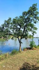 Thumb-đất nghỉ dưỡng bám hồ xã Đoài Phương - TP Hà Nội, diện tích 4000m2; cách trung tâm Hà Nội 40 phút lái xe-7