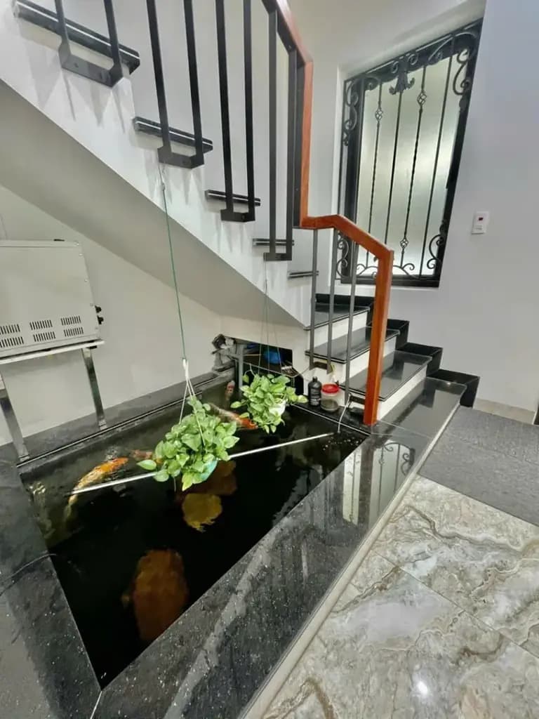 Main-Cho thuê Nhà riêng 60m2 giá 10 triệu tại Phường Thượng Lý Quận Hồng Bàng Hải Phòng-5