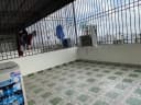 Thumb-Cho thuê Nhà riêng 46m2 giá 8 triệu tại Đường Thiên Lôi Phường Vĩnh Niệm Quận Lê Chân Hải Phòng-4