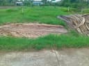 Thumb-Chính chủ bán đất 563m² có 160m² thổ cư, đường ô tô tại xã Tân Phú, Tân Phú Đông-2