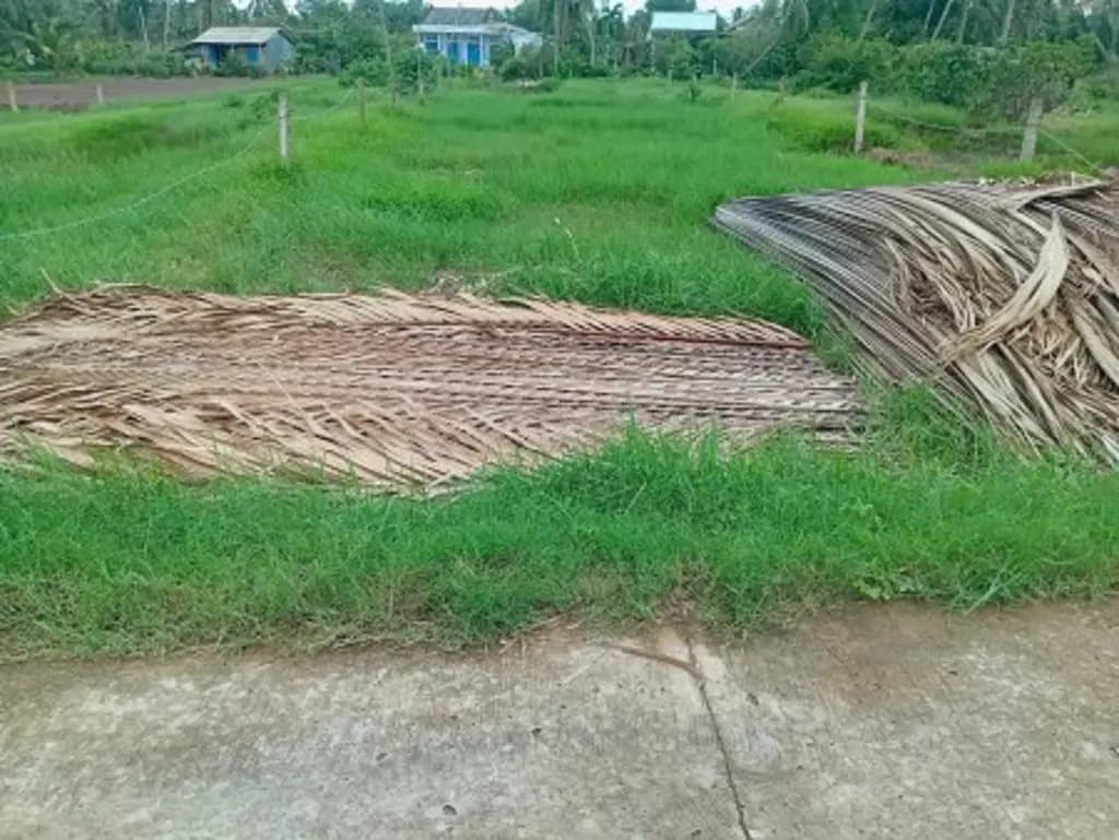 Main-Chính chủ bán đất 563m² có 160m² thổ cư, đường ô tô tại xã Tân Phú, Tân Phú Đông-1