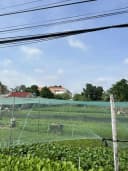 Thumb-Bán Đất 1100m2 có sẵn 300 m2 thổ cư giá 14 tỷ tại Đường Trịnh Thị Miếng Xã Thới Tam Thôn Huyện Hóc Môn TP. Hồ Chí Minh-5