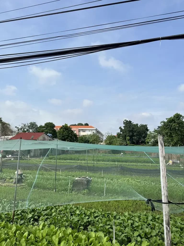 Main-Bán Đất 1100m2 có sẵn 300 m2 thổ cư giá 14 tỷ tại Đường Trịnh Thị Miếng Xã Thới Tam Thôn Huyện Hóc Môn TP. Hồ Chí Minh-4
