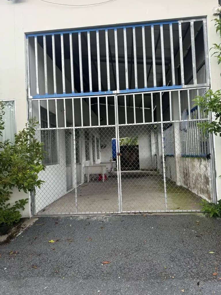 Main-Cho thuê Mặt bằng 6000m2 mặt tiền đường xe container và mặt tiền đường sông tại Bến Tre-2