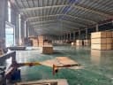 Thumb-Cho thuê nhà xưởng 22.500m2 Tân Uyên, Bình Dương-2