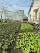 Thumb-Bán Đất 1100m2 có sẵn 300 m2 thổ cư giá 14 tỷ tại Đường Trịnh Thị Miếng Xã Thới Tam Thôn Huyện Hóc Môn TP. Hồ Chí Minh-3