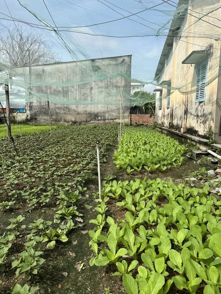 Main-Bán Đất 1100m2 có sẵn 300 m2 thổ cư giá 14 tỷ tại Đường Trịnh Thị Miếng Xã Thới Tam Thôn Huyện Hóc Môn TP. Hồ Chí Minh-2