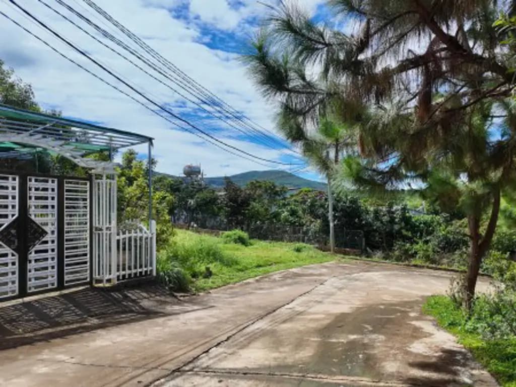 Main-Cần Bán Đất 2 Mặt Tiền 236m² Trong Khu Nghỉ Dưỡng, Bao Quanh Bởi Thông Xanh-0