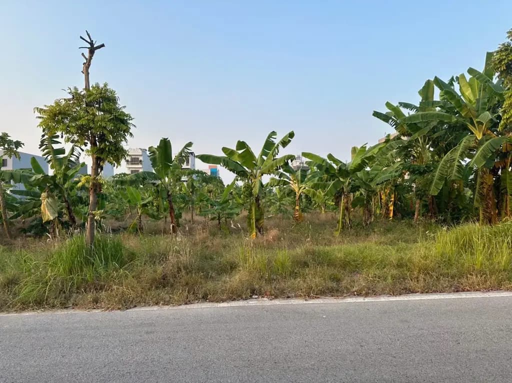Main-Bán Đất 67.5m2 có sẵn 67.5 m2 thổ cư giá 3.3 tỷ tại Phường Thạch Khôi Thành phố Hải Dương Hải Dương-6