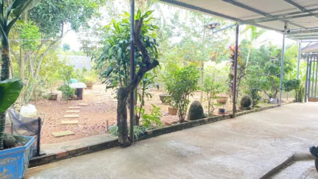 Main-Chính chủ bán nhà kèm vườn ăn trái Phú hội cũ - Đức Trọng, Lâm Đồng-3