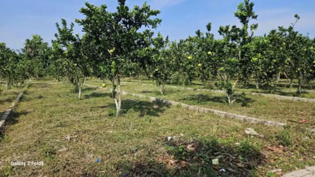 Main-Bán lô đất 177m2 tại Xã Bảo Hiệu, Huyện Yên Thủy, Hòa Bình cũ - Giá 240 triệu-5