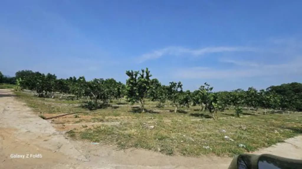 Main-Bán lô đất 177m2 tại Xã Bảo Hiệu, Huyện Yên Thủy, Hòa Bình cũ - Giá 240 triệu-1
