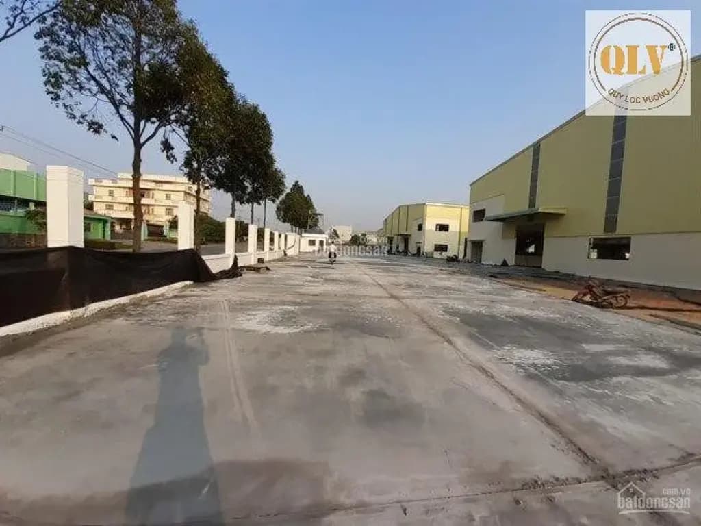 Main-Cho thuê nhà xưởng KCN Mỹ Phước, Bến Cát, Bình Dương 20.019m²-4