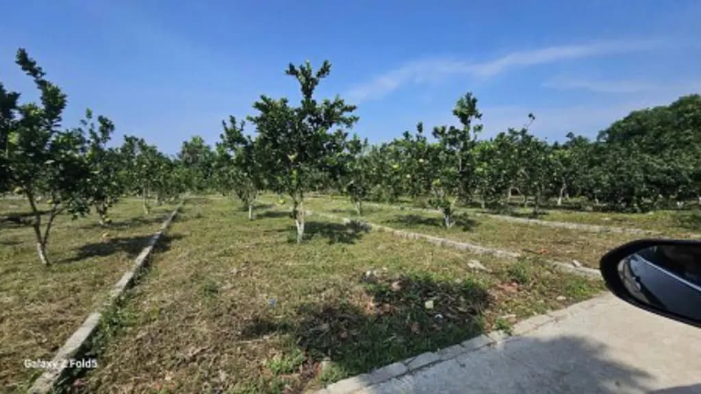 Main-Bán lô đất 177m2 tại Xã Bảo Hiệu, Huyện Yên Thủy, Hòa Bình cũ - Giá 240 triệu-6