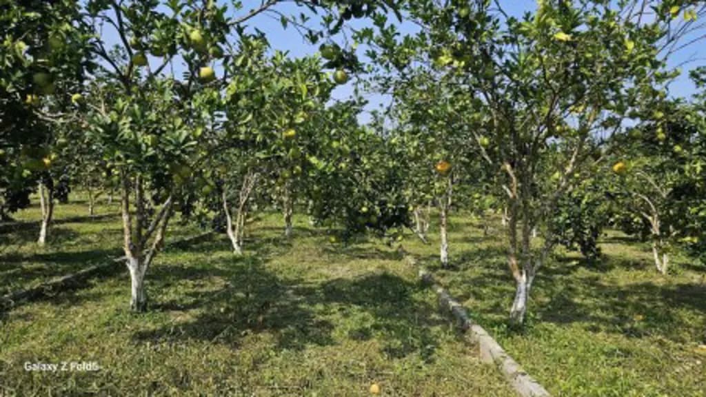Main-Bán lô đất 177m2 tại Xã Bảo Hiệu, Huyện Yên Thủy, Hòa Bình cũ - Giá 240 triệu-3