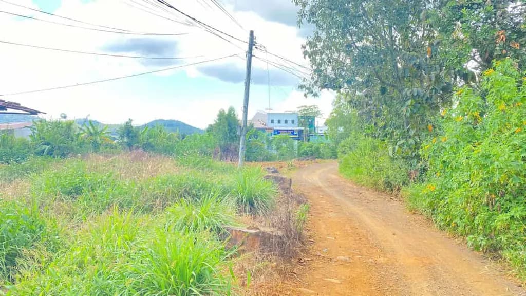 Main-Bán 462m2 hẻm gần ngã 3 hoa mặt trời, đức trọng, lâm đồng-4