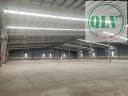 Thumb-Cho thuê nhà xưởng mới xây DT 24.000m2, 2 xưởng 8.000m2 KCN Thuận Đạo mở rộng.Long An.-3