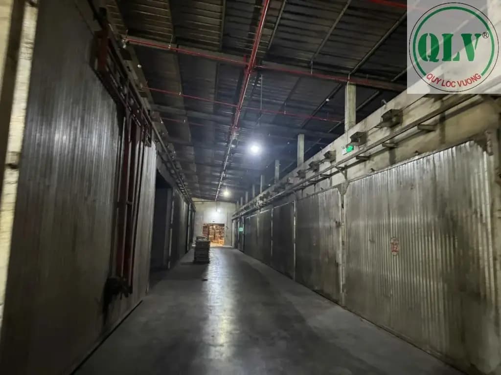 Main-📢 Cho thuê nhà xưởng quy mô lớn 51.000m2 Phước Hòa Phú Giáo Bình Dương.-1
