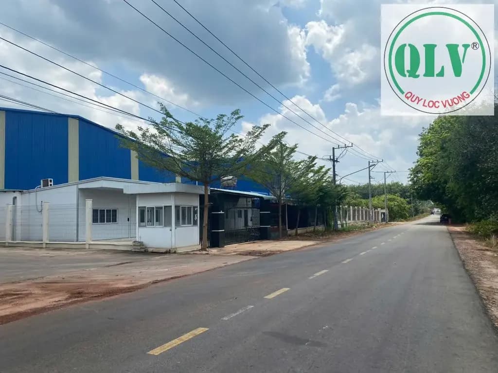Main-Xưởng cho thuê DT 19.882m2 X: 7.764m2 ở TP Tân An, Long An.-1
