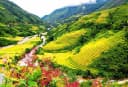 Thumb-Nhà phố thương mại Alphora Mường Hoa – Đón dòng khách du lịch, kiến tạo giá trị dài lâu.-4