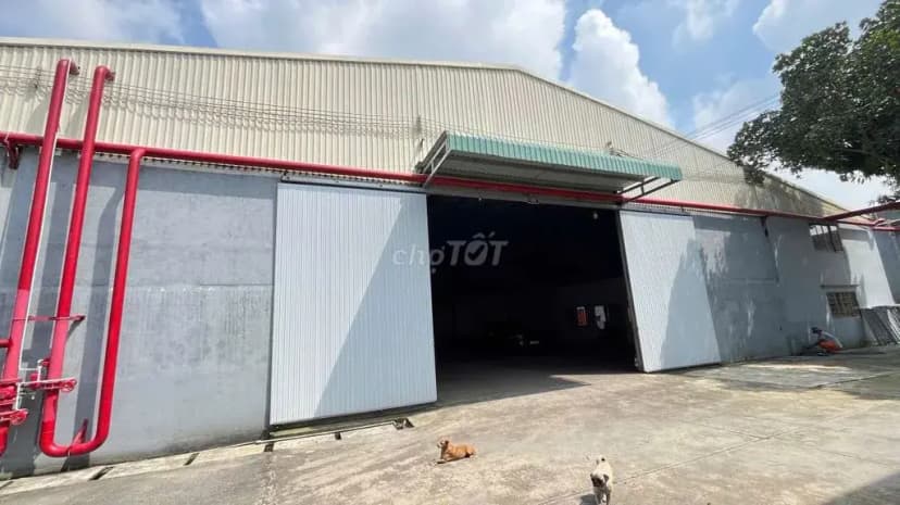 Cho Thuê Xưởng An phú , Thuận An BD