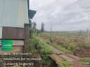 Thumb-Cho thuê Đất 752m2 tại Xã Long Hưng Huyện Phú Riềng Bình Phước-3