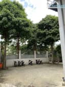Thumb-Cho thuê kho 738m2 Trường Thọ, Thủ Đức gần Xa lộ Hà Nội-5