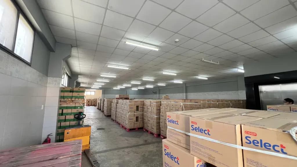 Main-Cho thuê kho 738m2 Trường Thọ, Thủ Đức gần Xa lộ Hà Nội-2