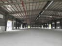 Thumb-Cho thuê xưởng sản xuất 7500m2.Đầy đủ giấy tờ ,An Điền,long Nguyen,BD Lh Zalo 0827373025-2
