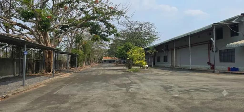 Main-CHÀO BÁN NHÀ XƯỞNG TẠI BẾN CÁT, BÌNH DƯƠNG-3